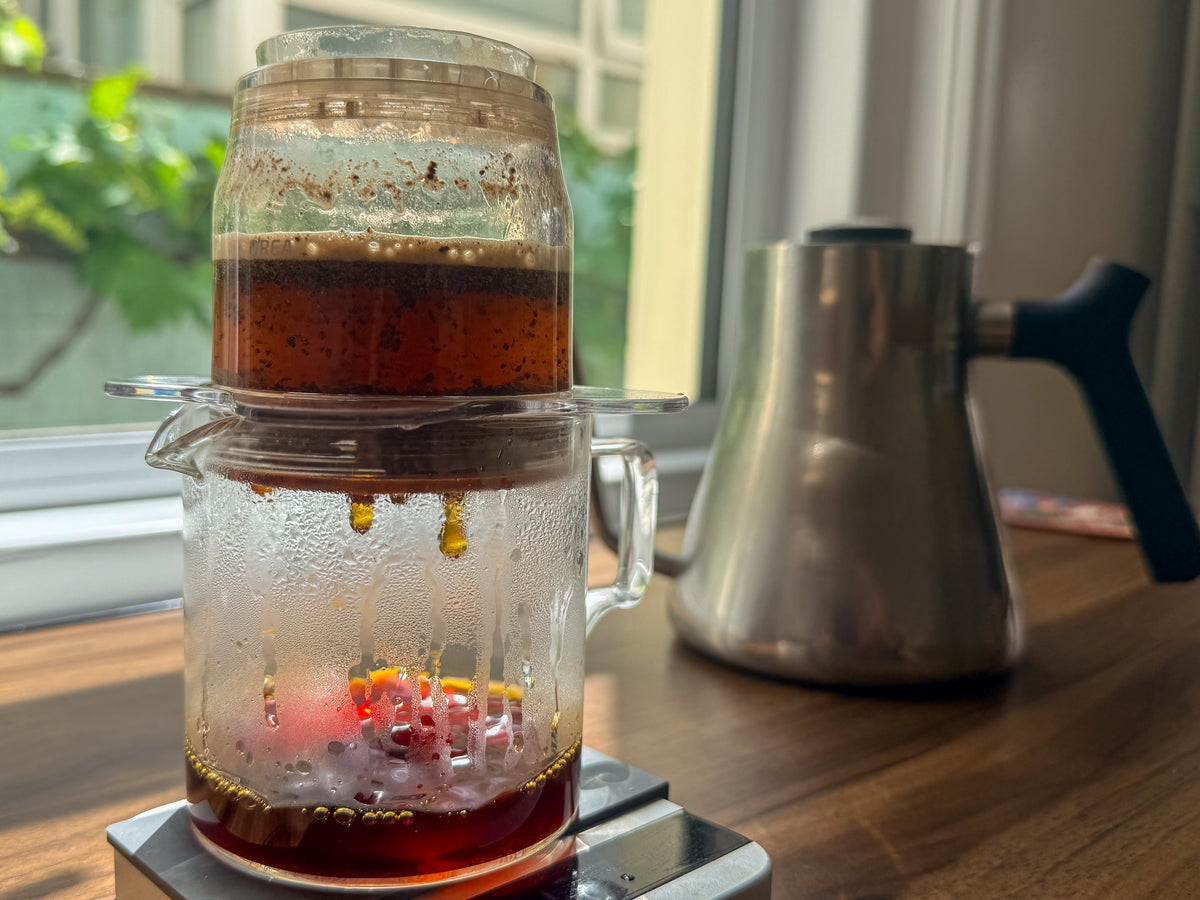 Brewing Iced coffee with the Orea Z1, Freda Speciality Coffee 